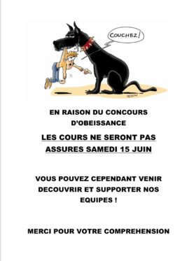 dressage chien indre